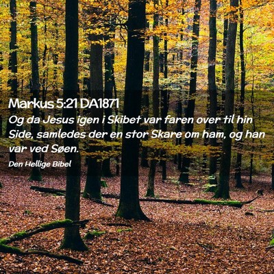 Picture 02 - Markus 5:21 DA1871 - Og da Jesus igen i Skibet var faren over til hin - Bible Verse Picture