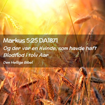 Picture 02 - Markus 5:25 DA1871 - Og der var en Kvinde, som havde haft Blodflod i - Bible Verse Picture