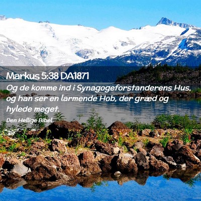 Picture 02 - Markus 5:38 DA1871 - Og de komme ind i Synagogeforstanderens Hus, og - Bible Verse Picture