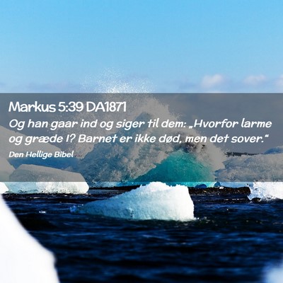 Picture 02 - Markus 5:39 DA1871 - Og han gaar ind og siger til dem: „Hvorfor - Bible Verse Picture