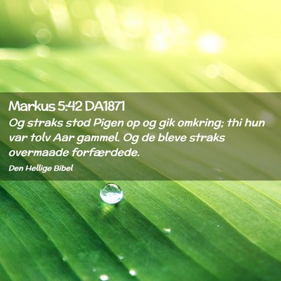 Picture 02 - Markus 5:42 DA1871 - Og straks stod Pigen op og gik omkring; thi hun - Bible Verse Picture