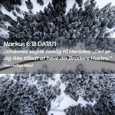 Picture 02 - Markus 6:18 DA1871 - Johannes sagde nemlig til Herodes: „Det er dig - Bible Verse Picture