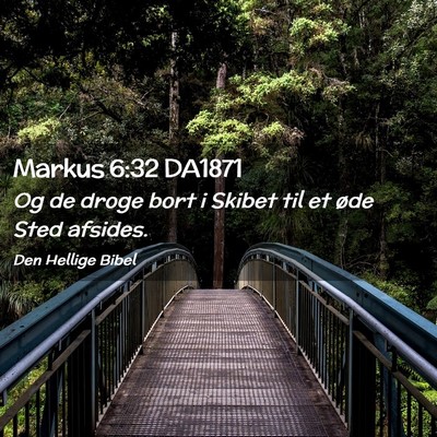 Picture 02 - Markus 6:32 DA1871 - Og de droge bort i Skibet til et øde Sted - Bible Verse Picture