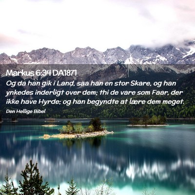Picture 02 - Markus 6:34 DA1871 - Og da han gik i Land, saa han en stor Skare, og - Bible Verse Picture