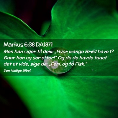 Picture 02 - Markus 6:38 DA1871 - Men han siger til dem: „Hvor mange Brød have - Bible Verse Picture