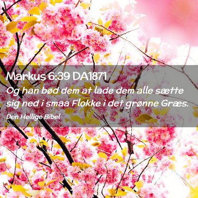 Picture 02 - Markus 6:39 DA1871 - Og han bød dem at lade dem alle sætte sig ned i - Bible Verse Picture