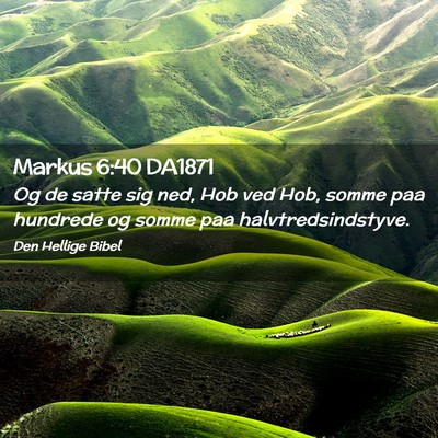 Picture 02 - Markus 6:40 DA1871 - Og de satte sig ned, Hob ved Hob, somme paa - Bible Verse Picture