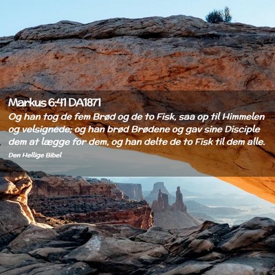 Picture 02 - Markus 6:41 DA1871 - Og han tog de fem Brød og de to Fisk, saa op til - Bible Verse Picture