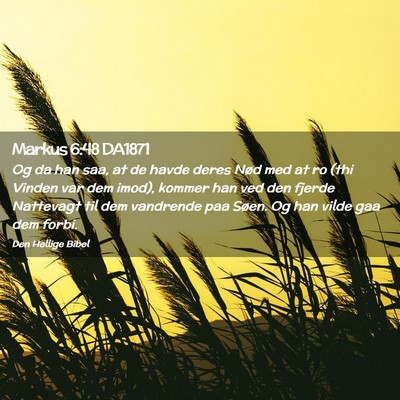 Picture 02 - Markus 6:48 DA1871 - Og da han saa, at de havde deres Nød med at ro - Bible Verse Picture