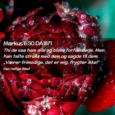 Picture 02 - Markus 6:50 DA1871 - Thi de saa ham alle og bleve forfærdede. Men han - Bible Verse Picture