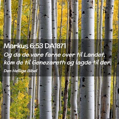 Picture 02 - Markus 6:53 DA1871 - Og da de vare farne over til Landet, kom de til - Bible Verse Picture