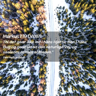 Picture 02 - Markus 7:19 DA1871 - Thi det gaar ikke ind i hans Hjerte, men i hans - Bible Verse Picture