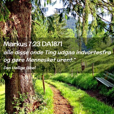 Picture 02 - Markus 7:23 DA1871 - alle disse onde Ting udgaa indvortesfra og gøre - Bible Verse Picture