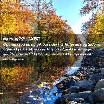 Picture 02 - Markus 7:24 DA1871 - Og han stod op og gik bort derfra til Tyrus's og - Bible Verse Picture