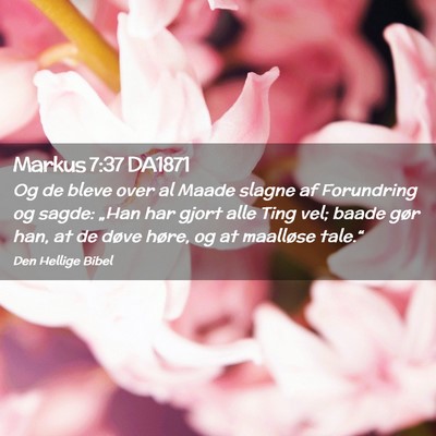 Picture 02 - Markus 7:37 DA1871 - Og de bleve over al Maade slagne af Forundring og - Bible Verse Picture
