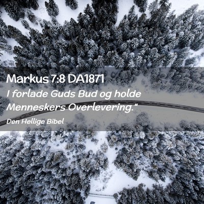 Picture 02 - Markus 7:8 DA1871 - I forlade Guds Bud og holde Menneskers - Bible Verse Picture