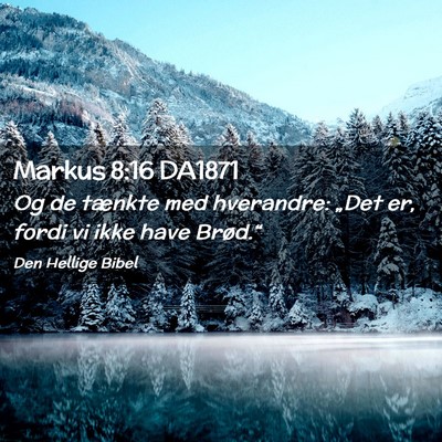 Picture 02 - Markus 8:16 DA1871 - Og de tænkte med hverandre: „Det er, fordi vi - Bible Verse Picture