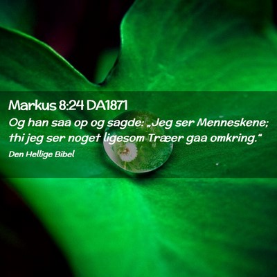 Picture 02 - Markus 8:24 DA1871 - Og han saa op og sagde: „Jeg ser Menneskene; - Bible Verse Picture