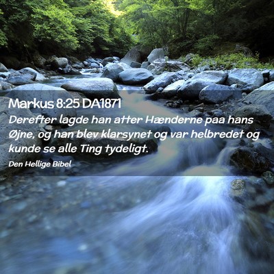 Picture 02 - Markus 8:25 DA1871 - Derefter lagde han atter Hænderne paa hans - Bible Verse Picture