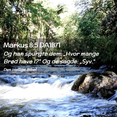 Picture 02 - Markus 8:5 DA1871 - Og han spurgte dem: „Hvor mange Brød have - Bible Verse Picture
