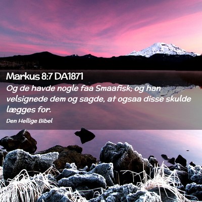 Picture 02 - Markus 8:7 DA1871 - Og de havde nogle faa Smaafisk; og han velsignede - Bible Verse Picture
