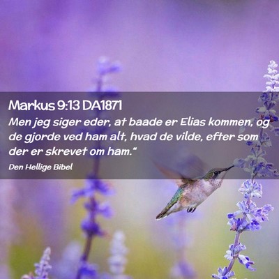 Picture 02 - Markus 9:13 DA1871 - Men jeg siger eder, at baade er Elias kommen, og - Bible Verse Picture