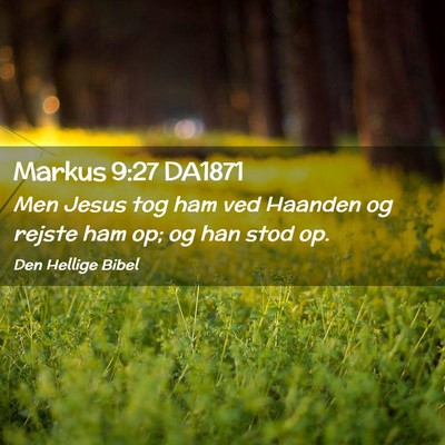 Picture 02 - Markus 9:27 DA1871 - Men Jesus tog ham ved Haanden og rejste ham op; - Bible Verse Picture