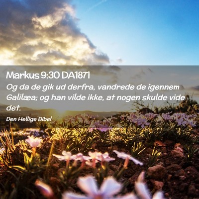 Picture 02 - Markus 9:30 DA1871 - Og da de gik ud derfra, vandrede de igennem - Bible Verse Picture