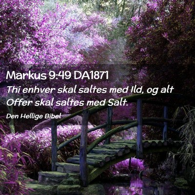 Picture 02 - Markus 9:49 DA1871 - Thi enhver skal saltes med Ild, og alt Offer skal - Bible Verse Picture