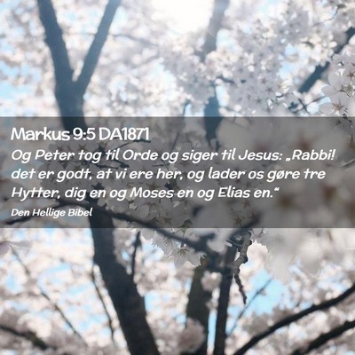 Picture 02 - Markus 9:5 DA1871 - Og Peter tog til Orde og siger til Jesus: - Bible Verse Picture
