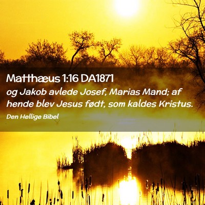 Picture 02 - Matthæus 1:16 DA1871 - og Jakob avlede Josef, Marias Mand; af hende blev - Bible Verse Picture