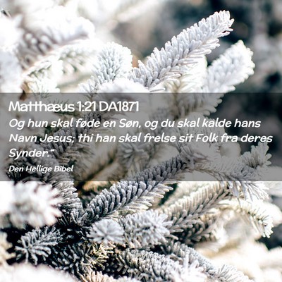 Picture 02 - Matthæus 1:21 DA1871 - Og hun skal føde en Søn, og du skal kalde hans - Bible Verse Picture