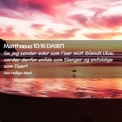 Picture 02 - Matthæus 10:16 DA1871 - Se, jeg sender eder som Faar midt iblandt Ulve; - Bible Verse Picture