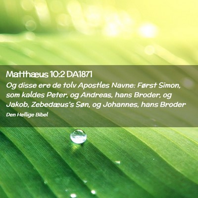 Picture 02 - Matthæus 10:2 DA1871 - Og disse ere de tolv Apostles Navne: Først - Bible Verse Picture