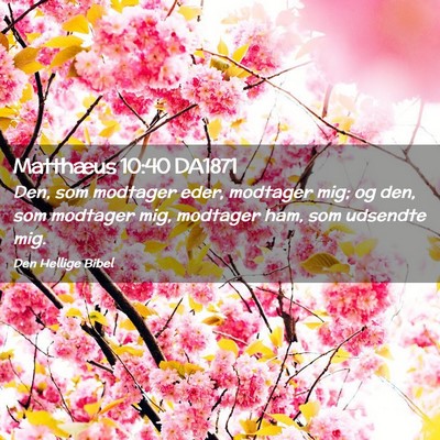 Picture 02 - Matthæus 10:40 DA1871 - Den, som modtager eder, modtager mig; og den, som - Bible Verse Picture