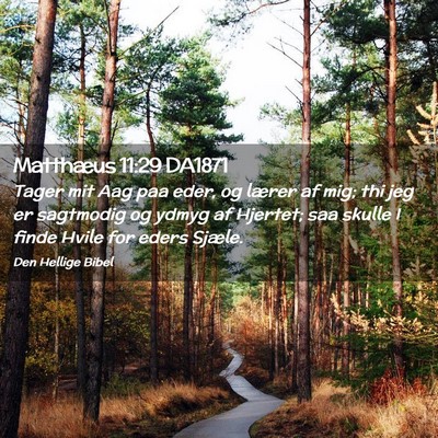 Picture 02 - Matthæus 11:29 DA1871 - Tager mit Aag paa eder, og lærer af mig; thi jeg - Bible Verse Picture