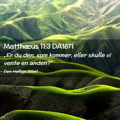 Picture 02 - Matthæus 11:3 DA1871 - „Er du den, som kommer, eller skulle vi vente - Bible Verse Picture