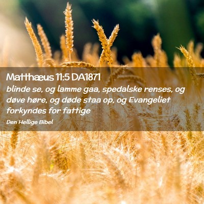 Picture 02 - Matthæus 11:5 DA1871 - blinde se, og lamme gaa, spedalske renses, og - Bible Verse Picture