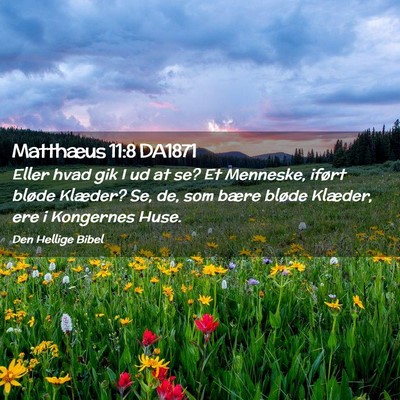 Picture 02 - Matthæus 11:8 DA1871 - Eller hvad gik I ud at se? Et Menneske, iført - Bible Verse Picture