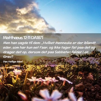 Picture 02 - Matthæus 12:11 DA1871 - Men han sagde til dem: „Hvilket Menneske er der - Bible Verse Picture