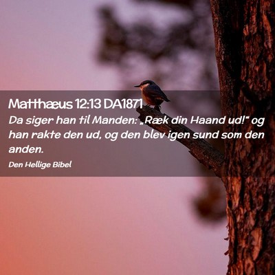 Picture 02 - Matthæus 12:13 DA1871 - Da siger han til Manden: „Ræk din Haand ud!“ - Bible Verse Picture