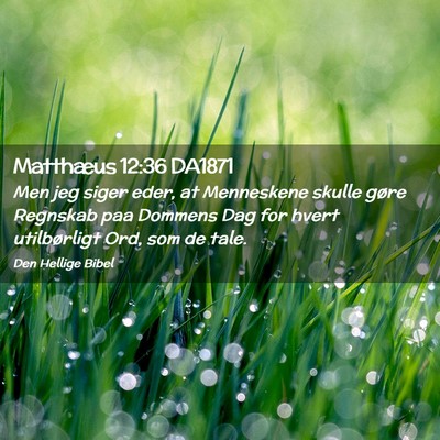 Picture 02 - Matthæus 12:36 DA1871 - Men jeg siger eder, at Menneskene skulle gøre - Bible Verse Picture