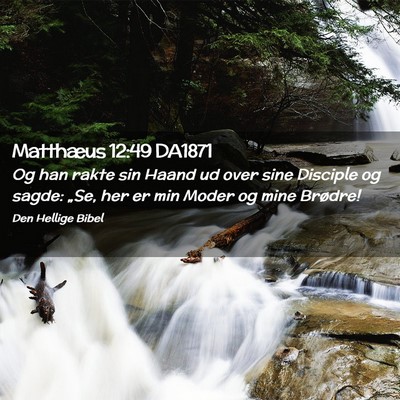 Picture 02 - Matthæus 12:49 DA1871 - Og han rakte sin Haand ud over sine Disciple og - Bible Verse Picture