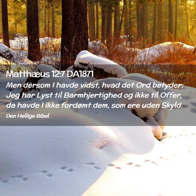 Picture 02 - Matthæus 12:7 DA1871 - Men dersom I havde vidst, hvad det Ord betyder: - Bible Verse Picture