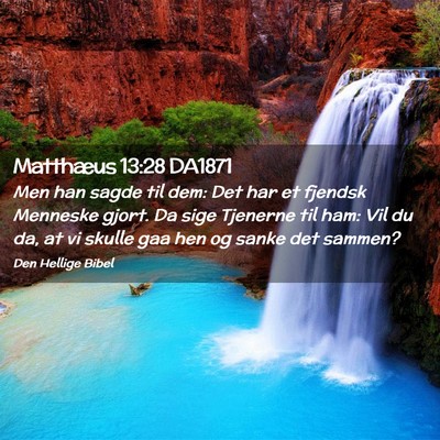 Picture 02 - Matthæus 13:28 DA1871 - Men han sagde til dem: Det har et fjendsk - Bible Verse Picture
