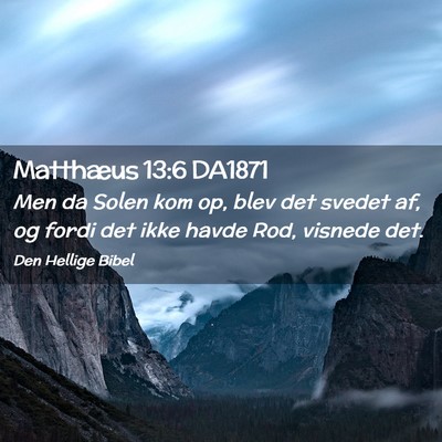 Picture 02 - Matthæus 13:6 DA1871 - Men da Solen kom op, blev det svedet af, og fordi - Bible Verse Picture