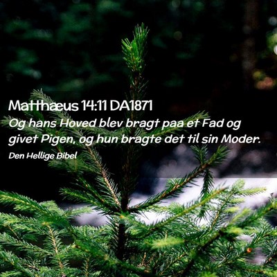 Picture 02 - Matthæus 14:11 DA1871 - Og hans Hoved blev bragt paa et Fad og givet - Bible Verse Picture