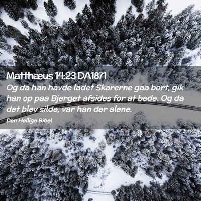 Picture 02 - Matthæus 14:23 DA1871 - Og da han havde ladet Skarerne gaa bort, gik han - Bible Verse Picture