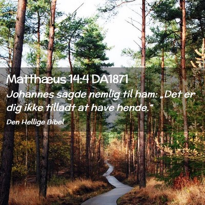Picture 02 - Matthæus 14:4 DA1871 - Johannes sagde nemlig til ham: „Det er dig ikke - Bible Verse Picture