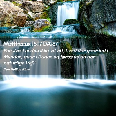 Picture 02 - Matthæus 15:17 DA1871 - Forstaa I endnu ikke, at alt, hvad der gaar ind i - Bible Verse Picture